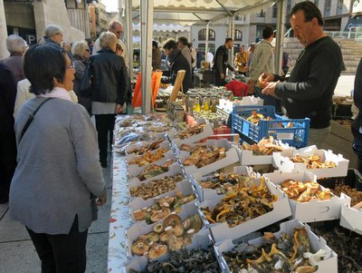 <bound method DexterityContent.Title of <NewsItem at /fs-paeria/paeria/ca/actualitat/noticies/24047>>.