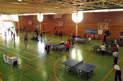 Un centenar d’esportistes han participat en el XXV Campionat de Tenis Taula i Bàdminton Acell Lleida a les instal·lacions de l'Inefc.