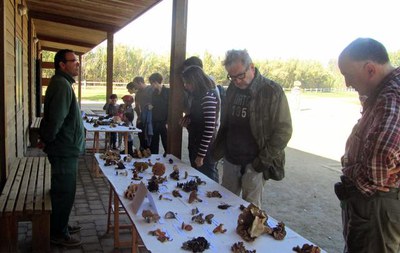 El tinent d'alcalde Fèlix Larrosa, en el curs "És temps de bolets", aquest matí al Centre d'Interpretació de la Mitjana.