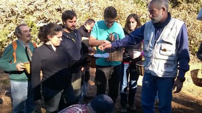 Imatge del curs "És temps de bolets" que s'ha fet aquest cap de setmana.