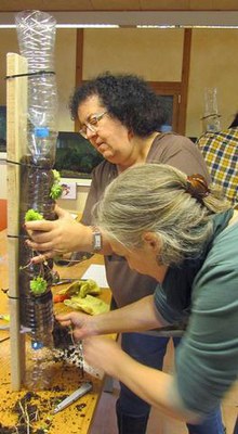 Els participants del taller han après a cultivar un jardí vertical amb materials comuns, com poden ser ampolles de plàstic o palets.