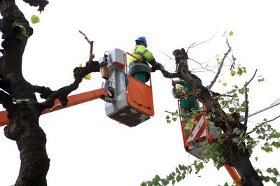 <bound method DexterityContent.Title of <NewsItem at /fs-paeria/paeria/ca/actualitat/noticies/24176>>.