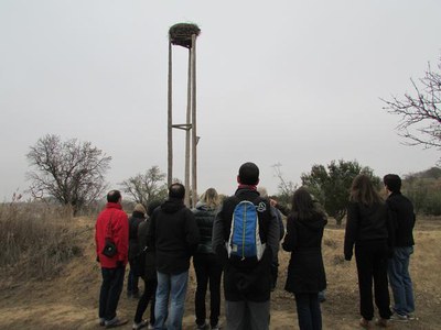 L'ecoactivitat a l'Estany d'Ivars, guiada pels tècnics del parc, ha permès conèixer aquest espai d’alt interès natural i observar les principals aus ….