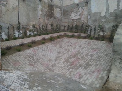 L’arbustiva caduca que s’ha plantat adoptarà un color vermellós a la primavera..