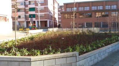 Les prop de 1.000 unitats d’arbustives col·locades en aquest nou espai públic s’han cultivat a la brigada de jardineria del Parc de l’Aigua.