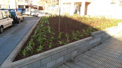 Millora i enjardinament de l'espai situat davant del Casal Social de la Mariola.