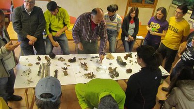 <bound method DexterityContent.Title of <NewsItem at /fs-paeria/paeria/ca/actualitat/noticies/24613>>.