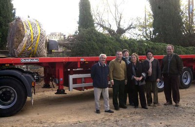 Imatge_cat_1250.jpg.