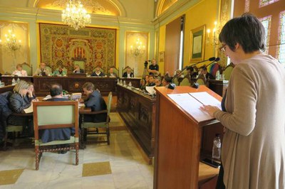 La moció de l'Associació Colors de Ponent també ha rebut el vistiplau del consistori.