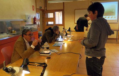 Observació a través del microscopi.