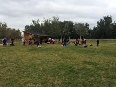 <bound method DexterityContent.Title of <NewsItem at /fs-paeria/paeria/ca/actualitat/noticies/25443>>.