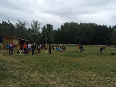 La caninada consisteix en un circuit i diverses proves d’orientació i agilitat que els participants hauran de superar acompanyats del seu gos.
