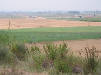 La Comissió de l’Horta, per la millora del servei de recollida de residus a l’Horta de Lleida.