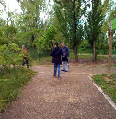 El jardí botànic acull més de mig miler d'espècies diferents.