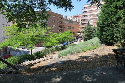 Es plantaran unitats d’espígol, heura, romaní, teucrí i herba de Sant Joan.