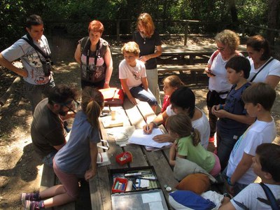 Ensenyant el procés d'anellament.