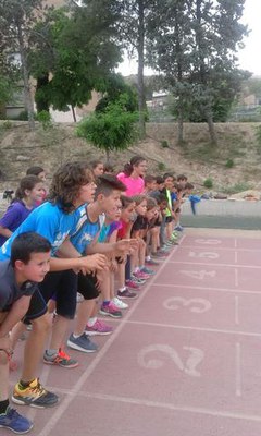 L’Ajuntament de Lleida compta amb 13 escoles especifiques, un servei municipal que té per objectiu afavorir l’aprenentatge i millora de diferents esp….