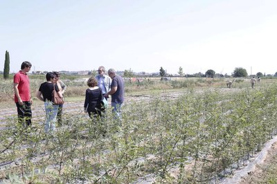 El viver forestal té l’objectiu de potenciar l’autoproducció d’arbres per cobrir les necessitats de la ciutat, amb el conseqüent estalvi econòmic que….