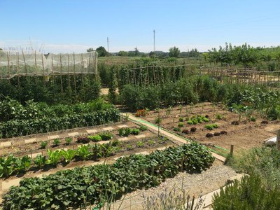 <bound method DexterityContent.Title of <NewsItem at /fs-paeria/paeria/ca/actualitat/noticies/26061>>.