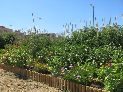 L’Ajuntament de Lleida té previst una nova convocatòria d’horts socials.