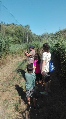 La Paeria organitza mensualment una sessió amb un anellador professional d'ocells al parc de La Mitjana.