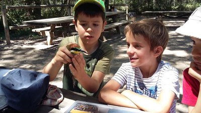 Taller d’anellament científic d’ocells que s’ha fet aquest matí al parc de La Mitjana de Lleida.