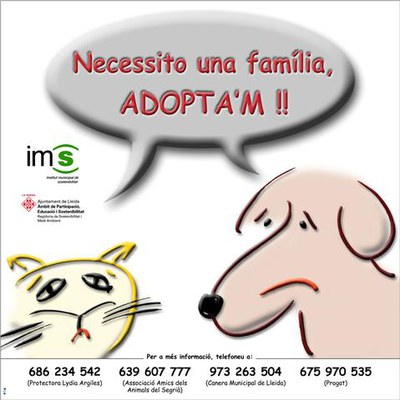 <bound method DexterityContent.Title of <NewsItem at /fs-paeria/paeria/ca/actualitat/noticies/2630>>.