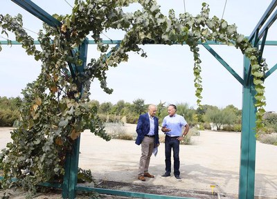 El tinent d'alcalde, Rafael Peris, i el director cientificotècnic de l’AJBLL i professor a l’ETSEA de la UdL, Josep Antoni Conesa, han presentat les ….