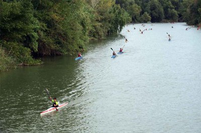 Les tres categories han estat en la modalitat K-1.