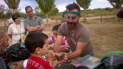 <bound method DexterityContent.Title of <NewsItem at /fs-paeria/paeria/ca/actualitat/noticies/26460>>.