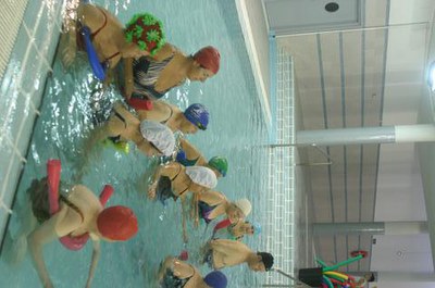 Imatge_cat_1357.JPG.