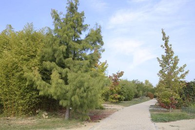 <bound method DexterityContent.Title of <NewsItem at /fs-paeria/paeria/ca/actualitat/noticies/26592>>.