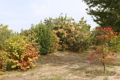 <bound method DexterityContent.Title of <NewsItem at /fs-paeria/paeria/ca/actualitat/noticies/26594>>.