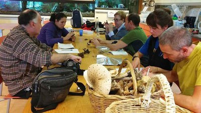 <bound method DexterityContent.Title of <NewsItem at /fs-paeria/paeria/ca/actualitat/noticies/26618>>.