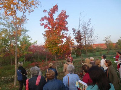 La visita, en què hi han participat una trentena de dones, ha consistit en un recorregut guiat pel jardí botànic de la ciutat de Lleida.