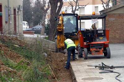 Imatge_cat_1381.jpg.