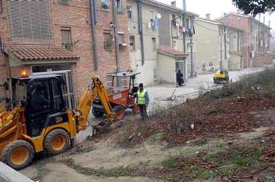 Imatge_cat_1383.jpg.