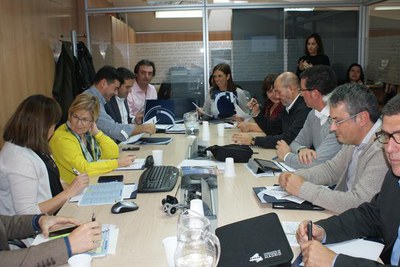 Segona reunió de l’organisme, que està presidit per l'alcalde de Lleida, Àngel Ros, i que està integrat per representants de 24 municipis de l’estat.