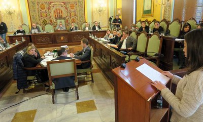 Núria Cabiscol, representant del Consell Local de Joventut, ha intervingut al Ple per parlar sobre el Pla Local de Joventut..