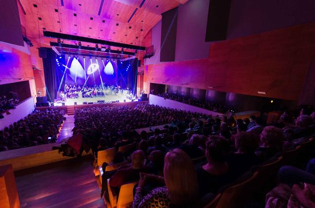 Aspecte de l'auditori, ple de gom a gom