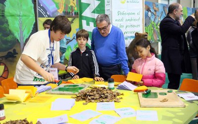 Ipcena ensenya a diferenciar i pintar els arbres i les fulles del bosc.