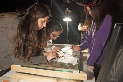 L’Animac, Mostra Internacional de Cinema d’Animació de Catalunya, ofereix als alumnes de l’Escola d’Art Municipal Leandre Cristòfol la possibilitat d….