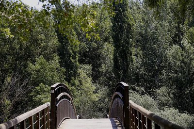 <bound method DexterityContent.Title of <NewsItem at /fs-paeria/paeria/ca/actualitat/noticies/27534>>.