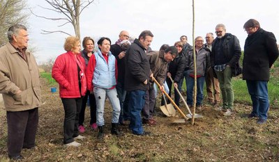 Foto de família dels participants en la plantada de desmais.