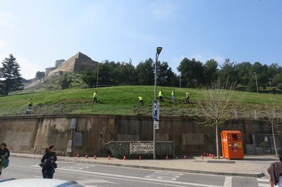 Els treballs que es desenvolupen en aquesta actuació es concentren en una superfície de 650 metres quadrats en què es canviarà la gespa, es posarà un….