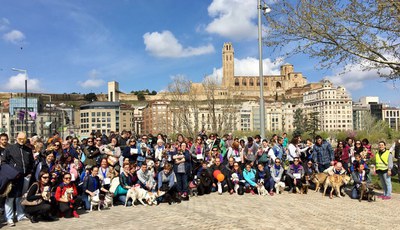 <bound method DexterityContent.Title of <NewsItem at /fs-paeria/paeria/ca/actualitat/noticies/27726>>.