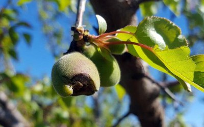 <bound method DexterityContent.Title of <NewsItem at /fs-paeria/paeria/ca/actualitat/noticies/27775>>.