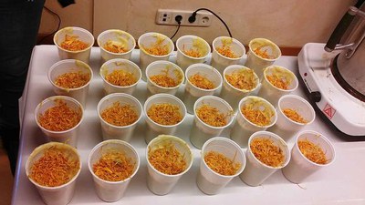 Sabons refredant-se.