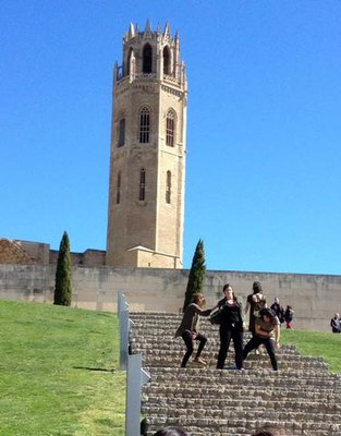 L’itinerari ha finalitzat al recinte de la Seu Vella.