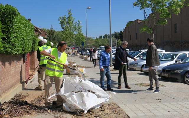 L’Ajuntament de Lleida està treballant al carrer de Montserrat Roig amb la plantació d’arbrat i la revisió i remodelació de la xarxa de reg